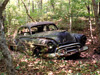 I happened upon this long-abandoned 1950 Oldsmobile 88 quite by accident in a wooded spot near Athens. The car is slowly returning to the earth.